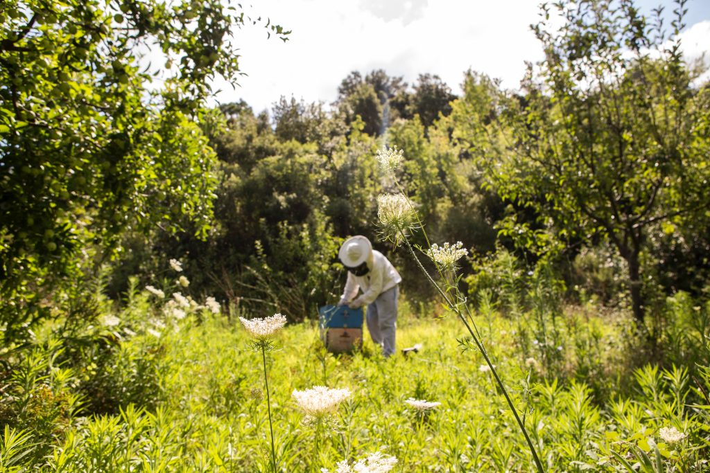 Personne-dans-un-jardin