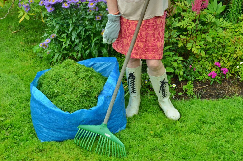 herbe-coupee